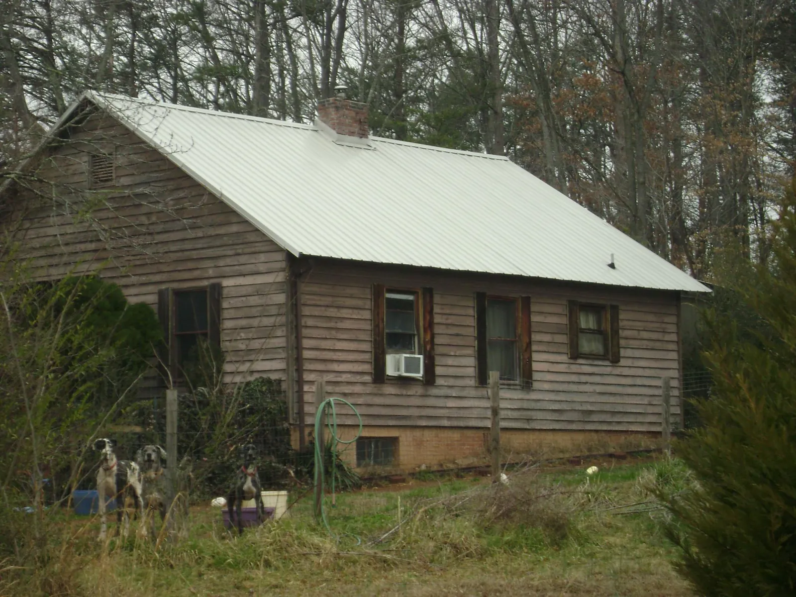 White metal roof on an old wood sided farmhouse, from a Metal Roof Installation job in Alden